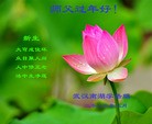 ֹ,󷨵ӹףʦ(29)
