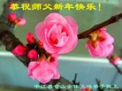 ֹ,Ĵ󷨵ӹףʦ(24)
