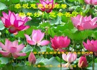 ֹ,ɶ󷨵ӹףʦ(23)
