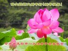 ֹ,󷨵ӹףʦ(23)
