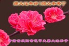 ֹ,󷨵ӹףʦ(23)
