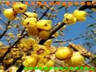 ֹ,ϴ󷨵ӹףʦ(30)
