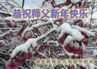 ֹ,մ󷨵ӹףʦ(23)
