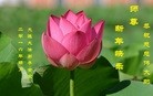 ֹ,󷨵ӹףʦ(25)
