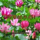 ���ֹ�,�����󷨵��ӹ�ףʦ�������(27��)
