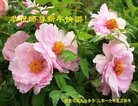 Published on 2/8/2016 ���ֹ�,��½�󷨵��ӹ�ףʦ������(37��)
