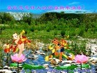 Published on 2/8/2016 ���ֹ�,��½�󷨵��ӹ�ףʦ������(25��)
