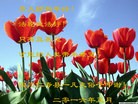Published on 2/8/2016 ���ֹ�,��½���ڹ�ףʦ������(29��)

