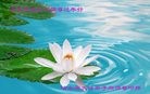 Published on 2/8/2016 ���ֹ�,��½�󷨵��ӹ�ףʦ������(36��)
