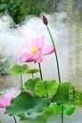 Published on 2/7/2016 ���ֹ�,��½�󷨵��ӹ�ףʦ������(27��)
