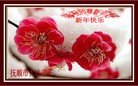 Published on 2/8/2016 ���ֹ�,��½�󷨵��ӹ�ףʦ������(29��)
