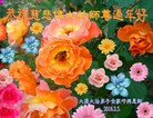 Published on 2/7/2016 ���ֹ�,��½�󷨵��ӹ�ףʦ������(27��)
