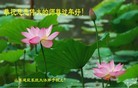 Published on 2/7/2016 ���ֹ�,��½�󷨵��ӹ�ףʦ������(27��)
