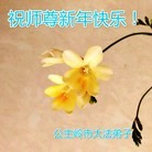 Published on 2/7/2016 ���ֹ�,��½�󷨵��ӹ�ףʦ������(27��)
