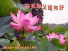 Published on 2/8/2016 ���ֹ�,��½�󷨵��ӹ�ףʦ������(36��)
