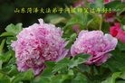 Published on 2/8/2016 ���ֹ�,��½�󷨵��ӹ�ףʦ������(29��)
