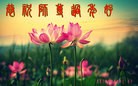 Published on 2/8/2016 ���ֹ�,��½�󷨵��ӹ�ףʦ������(29��)
