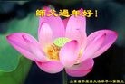 Published on 2/7/2016 ���ֹ�,��½�󷨵��ӹ�ףʦ������(35��)
