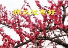 Published on 2/8/2016 ���ֹ�,��½�󷨵��ӹ�ףʦ������(34��)
