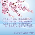 ���ֹ�,�ӱ��󷨵��ӹ�ףʦ�������(24��)