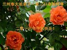 ֹ,󷨵ӹףʦ(19)