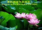 ֹ,ɶ󷨵ӹףʦ(25)