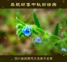 ֹ,Ĵ󷨵ӹףʦ(20)