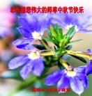 ���ֹ�,�����󷨵��ӹ�ףʦ���������(25��)