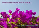 ֹ,Ĵ󷨵ӹףʦ(21)