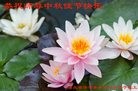 ֹ,ʯׯ󷨵ӹףʦ(28)