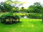 ֹ,Ĵ󷨵ӹףʦ(25)