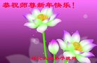 Published on 12/30/2016 ���ֹ�,��½�󷨵��ӹ�ףʦ�������(29��)