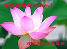 Published on 12/30/2016 ���ֹ�,��½�󷨵��ӹ�ףʦ�������(29��)