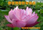 Published on 12/30/2016 ���ֹ�,��½�󷨵��ӹ�ףʦ�������(29��)