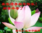 Published on 12/30/2016 ���ֹ�,��½�󷨵��ӹ�ףʦ�������(29��)