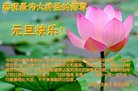 Published on 12/30/2016 ���ֹ�,��½�󷨵��ӹ�ףʦ�������(29��)