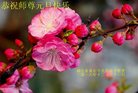 Published on 12/31/2016 ���ֹ�,��½�󷨵��ӹ�ףʦ�������(26��)