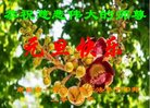 Published on 12/31/2016 ���ֹ�,��½�󷨵��ӹ�ףʦ�������(25��)