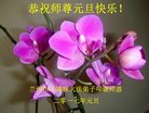 Published on 12/31/2016 ���ֹ�,��½�󷨵��ӹ�ףʦ�������(25��)