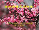 Published on 12/31/2016 ���ֹ�,��½�󷨵��ӹ�ףʦ�������(25��)