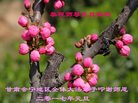 Published on 12/31/2016 ���ֹ�,��½�󷨵��ӹ�ףʦ�������(25��)