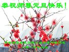 Published on 12/31/2016 ���ֹ�,��½�󷨵��ӹ�ףʦ�������(25��)