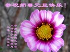 Published on 12/31/2016 ���ֹ�,��½�󷨵��ӹ�ףʦ�������(25��)