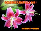 Published on 12/31/2016 ���ֹ�,��½�󷨵��ӹ�ףʦ�������(25��)