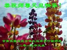 Published on 12/30/2016 ���ֹ�,��½�󷨵��ӹ�ףʦ�������(27��)