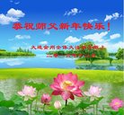 Published on 12/30/2016 ���ֹ�,��½�󷨵��ӹ�ףʦ�������(27��)