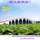 Published on 12/30/2016 ���ֹ�,��½�󷨵��ӹ�ףʦ�������(27��)