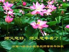 Published on 12/30/2016 ���ֹ�,��½�󷨵��ӹ�ףʦ�������(27��)