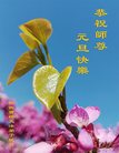 Published on 12/30/2016 ���ֹ�,��½�󷨵��ӹ�ףʦ�������(27��)
