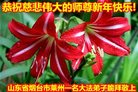 Published on 12/30/2016 ���ֹ�,��½�󷨵��ӹ�ףʦ�������(27��)